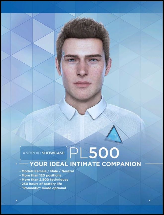 Ordering image for PL500